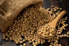 Soyabean